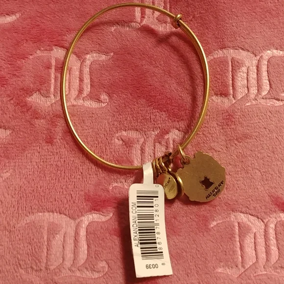 NWT Alex and Ani Love & Luck Bracelet - Picture 4 of 4